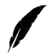 Kurucular